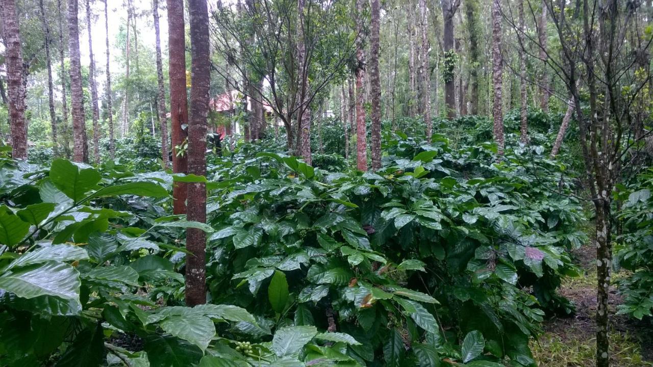 RAI COTTAGE @ Coorg ,Suntikoppa Eksteriør bilde