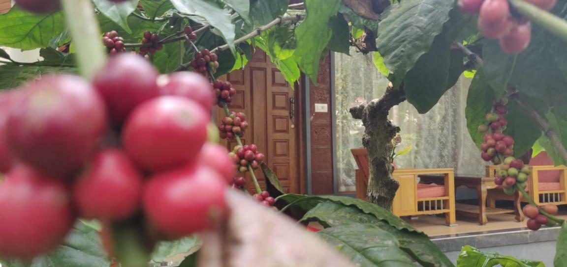 RAI COTTAGE @ Coorg ,Suntikoppa Eksteriør bilde
