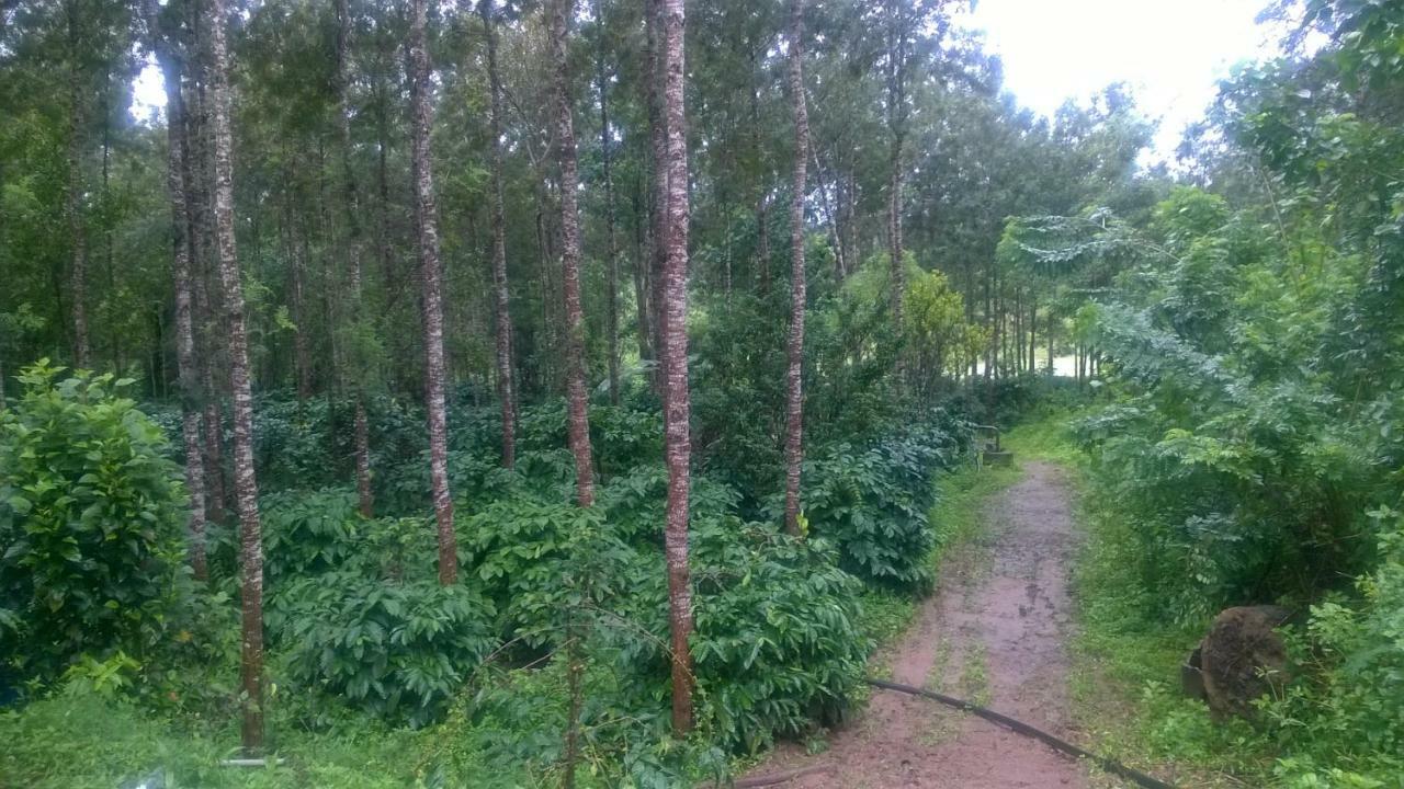RAI COTTAGE @ Coorg ,Suntikoppa Eksteriør bilde