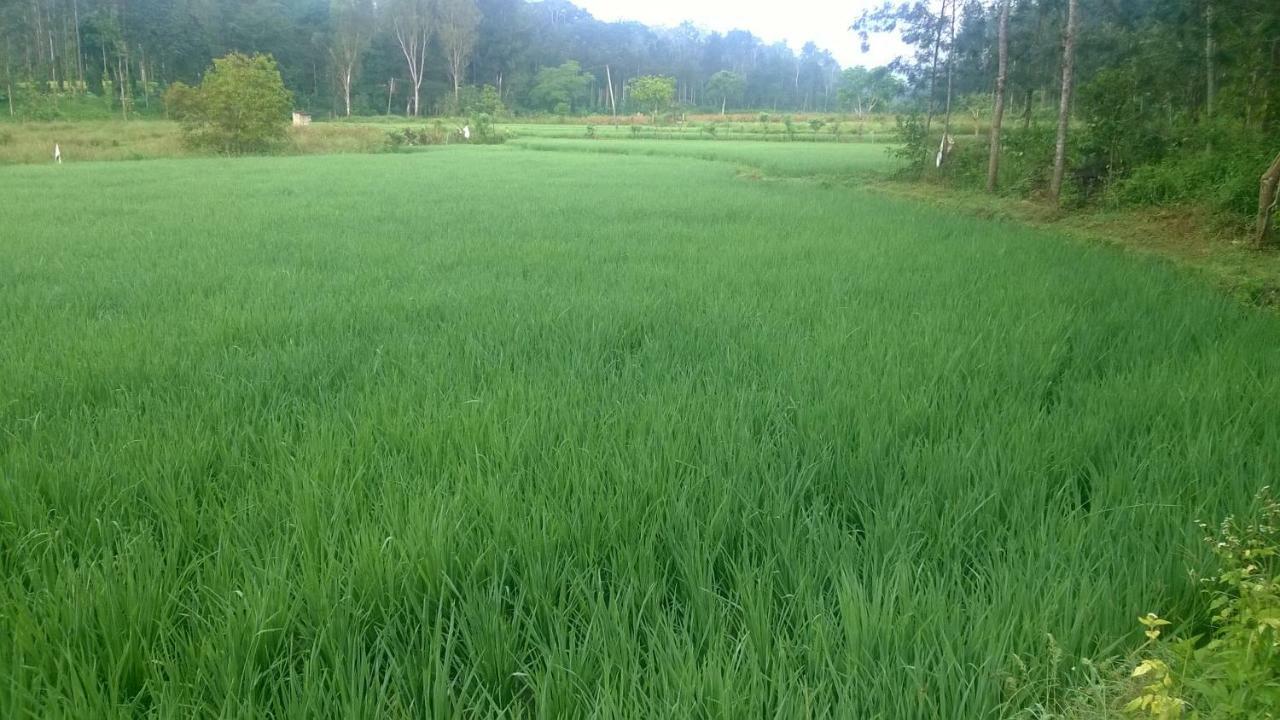 RAI COTTAGE @ Coorg ,Suntikoppa Eksteriør bilde