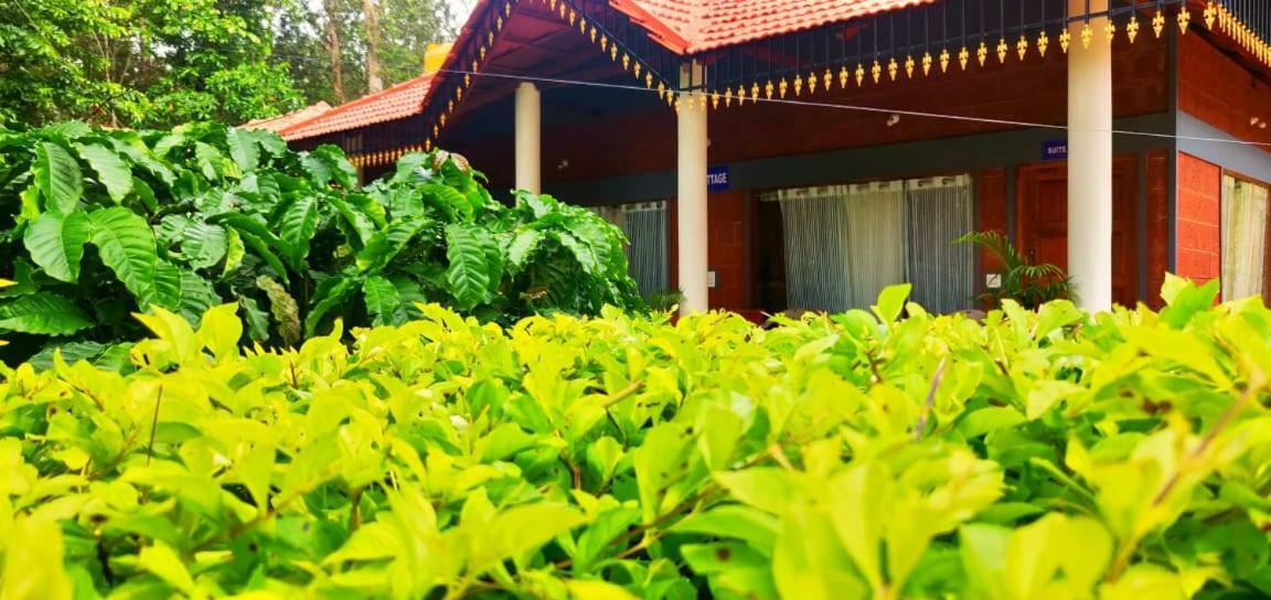 RAI COTTAGE @ Coorg ,Suntikoppa Eksteriør bilde